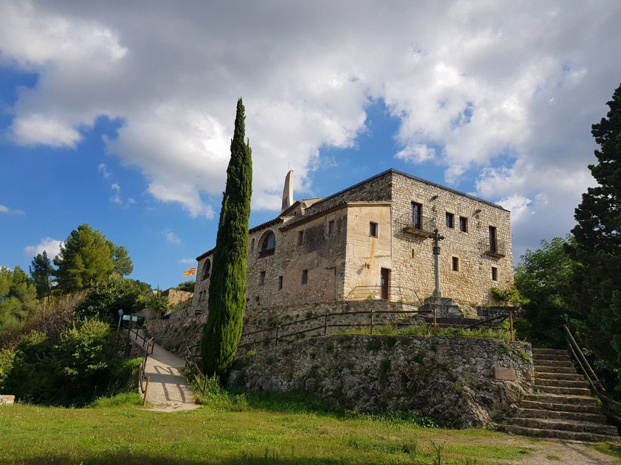 Paisaje y viñedos del Penedès